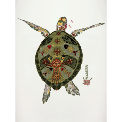 Origin Turtle Ladies long T-shirt