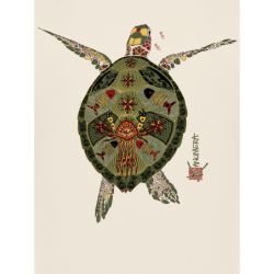 Polo Bio Origine La Tortue