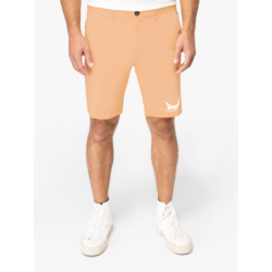 Bermuda Chino La Raie
