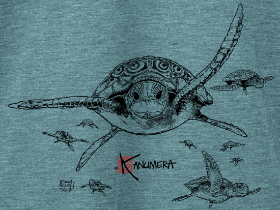 Turtles Ladies' flowy rolled-cuff T-shirt