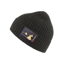 Rays winter Beanie