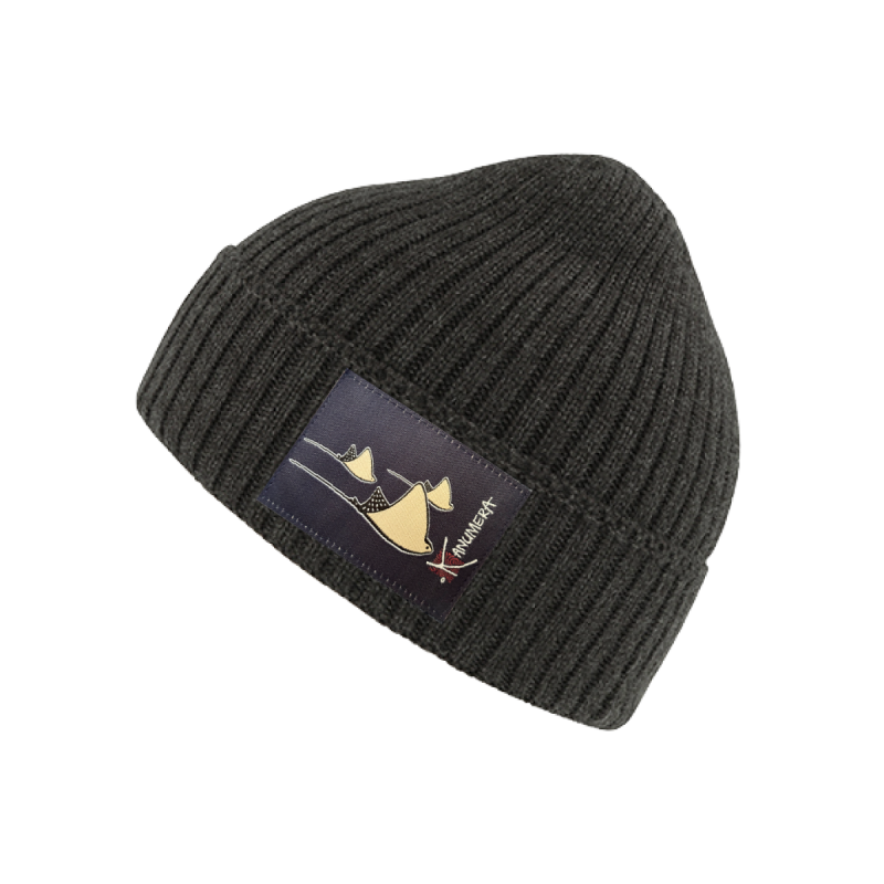 Rays winter Beanie