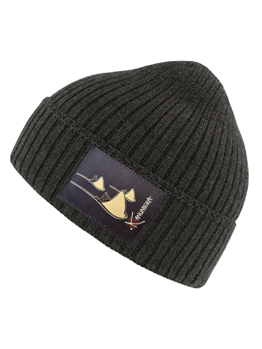 Rays winter Beanie