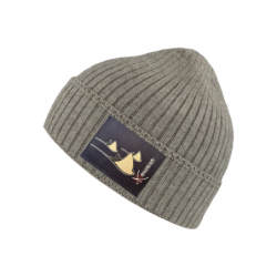 Rays winter Beanie