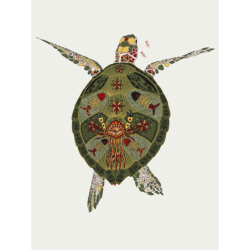 Turtle Ladies' oversized sweatshirt