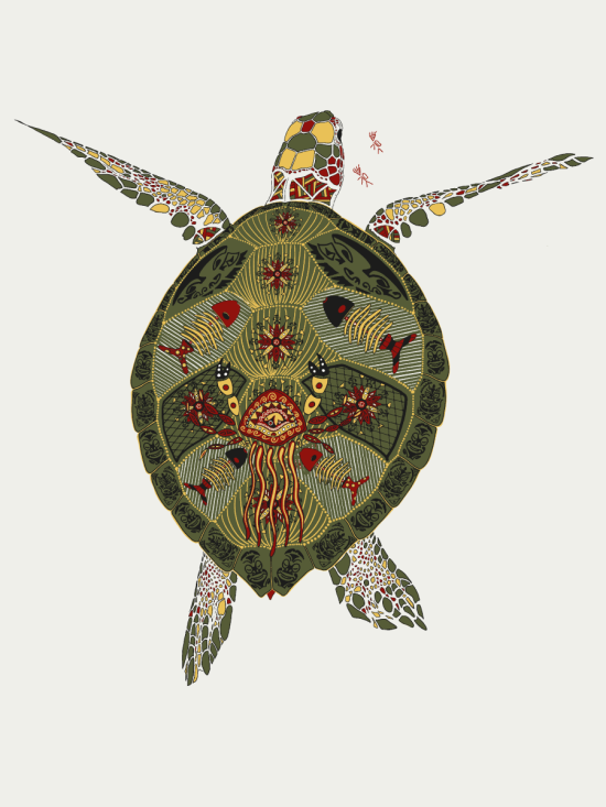 Turtle Ladies' oversized sweatshirt