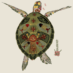 T-shirt Origine La Tortue