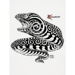 Organic moray eel t-shirt