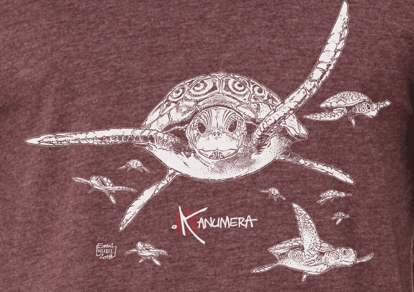 T-shirt Bio Les Tortues