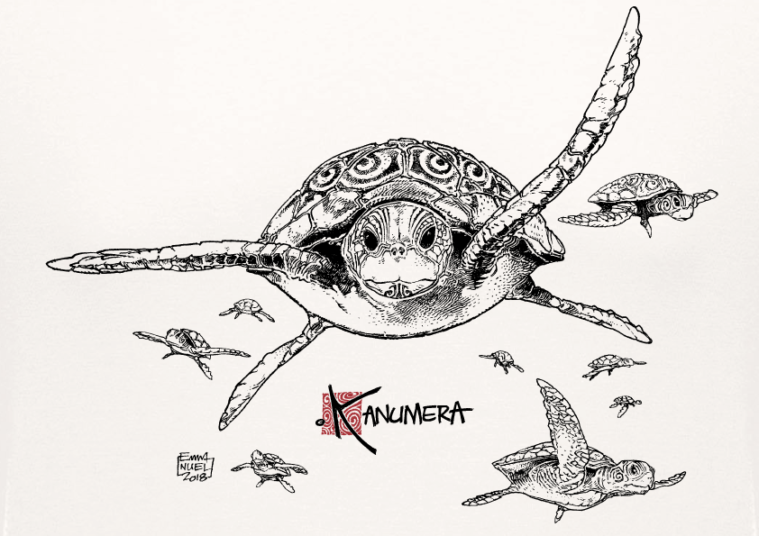 T-shirt Bio Les Tortues