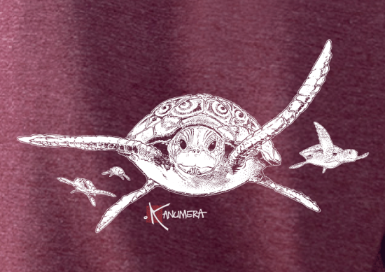 Turtles Ladies’ organic cotton crew neck raglan sleeve sweatshirt
