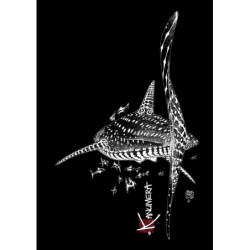 Robe sans manches Le Requin Baleine