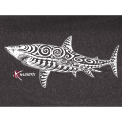 Shark Men's full zip heather jacket