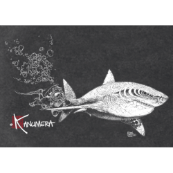 T-shirt délavé Femme Le Requin Blanc et la Plongeuse