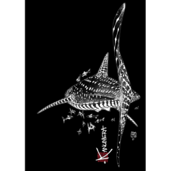 Débardeur Fluide Fendu Le Requin Baleine