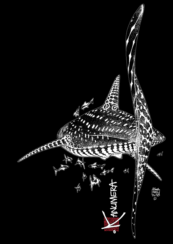 Débardeur Fluide Fendu Le Requin Baleine