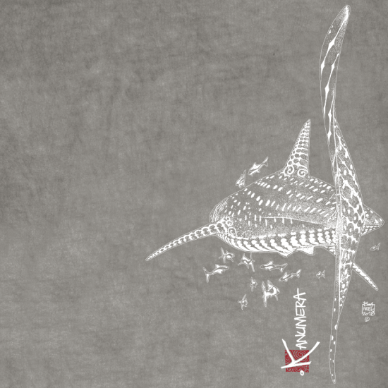 T-shirt délavé col V Le Requin Baleine