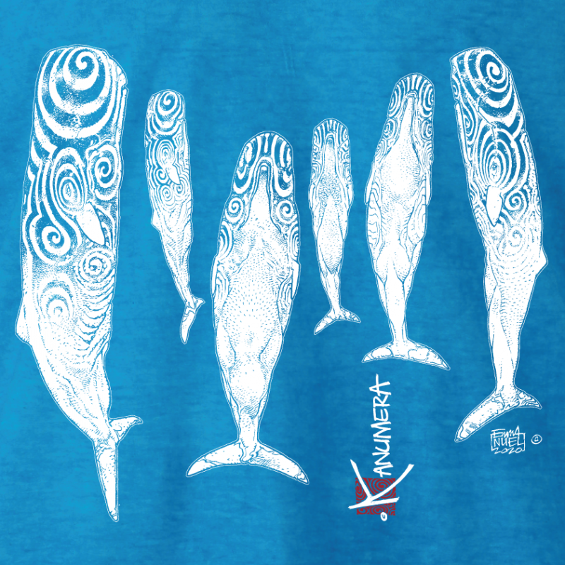 T-shirt délavé col V Le sommeil des Cachalots