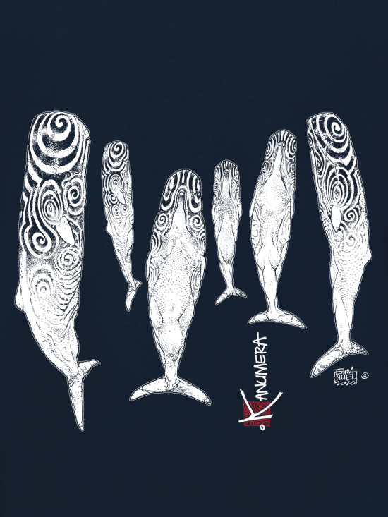 Sperm Whales  Ladies Long Sleeves  T-Shirt