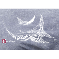 Rays demim effect T-shirt
