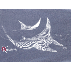 Rays demim effect Ladies T-shirt