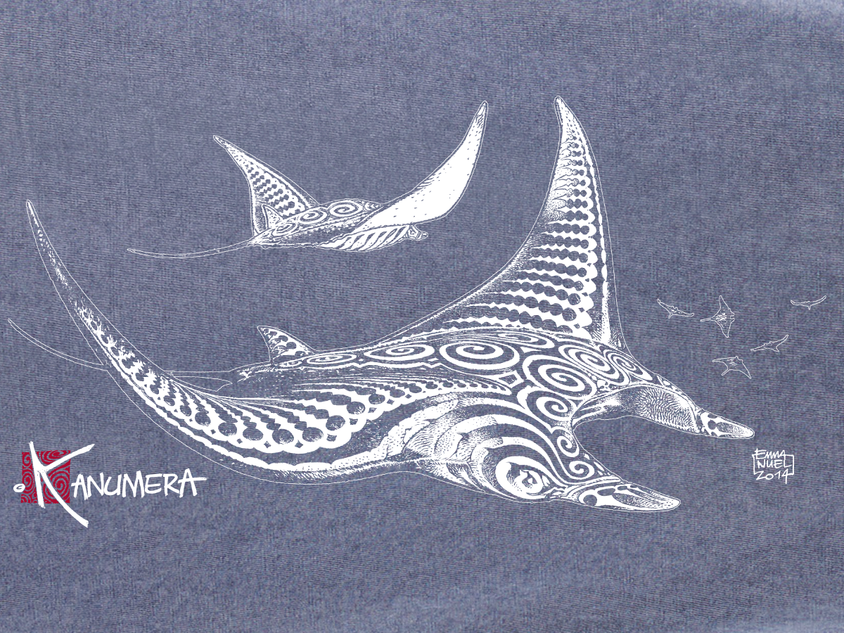 Rays demim effect Ladies T-shirt