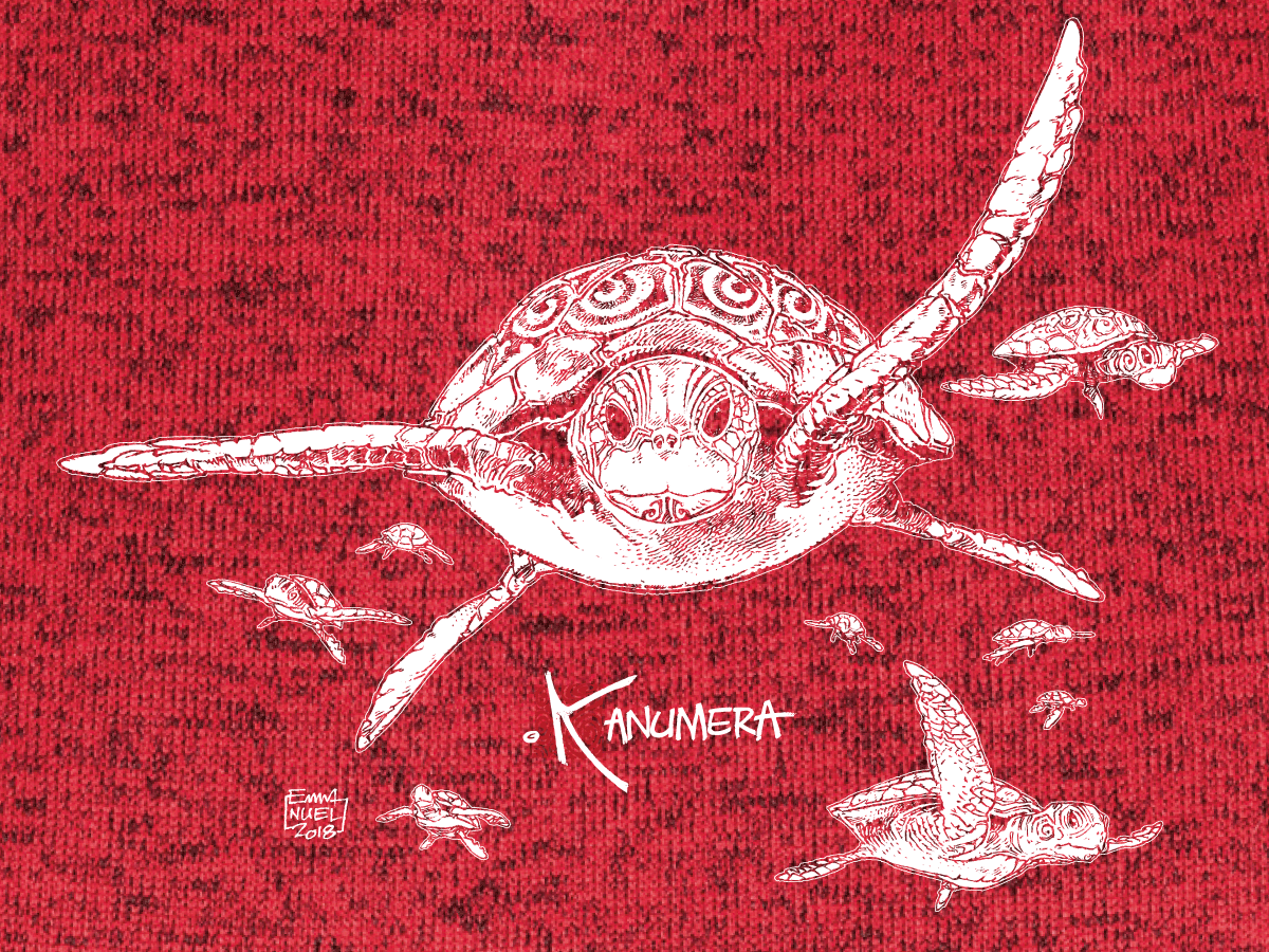 Veste Femme en Polaire tricoté Les Tortues