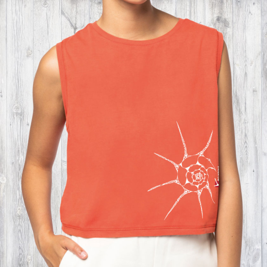 T-shirt Bio Crop Le Coquillage