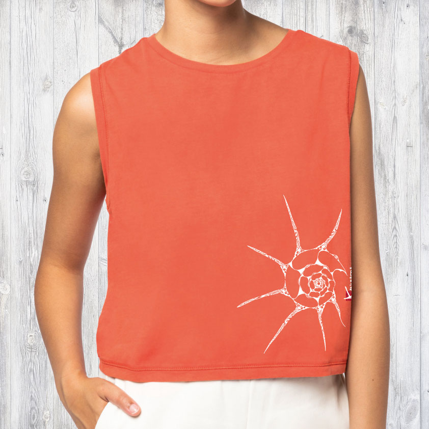 T-shirt Bio Crop Le Coquillage