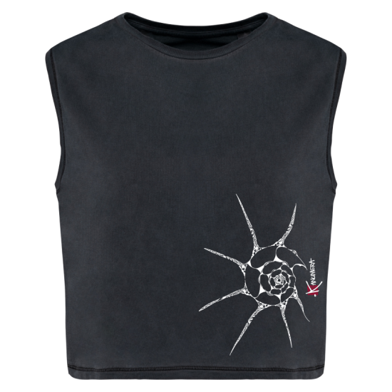 T-shirt Bio Crop Le Coquillage