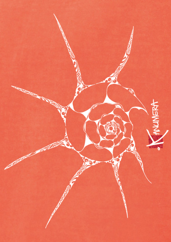 Shell Ladie's sleeveless cropped t-shirt