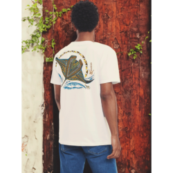 T-shirt Origine Les Raies