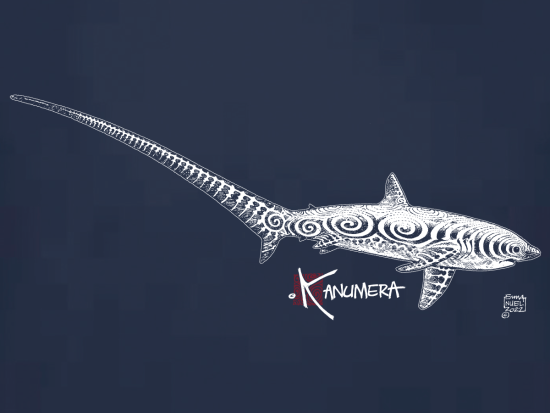 T-shirt Enfant Le requin Renard